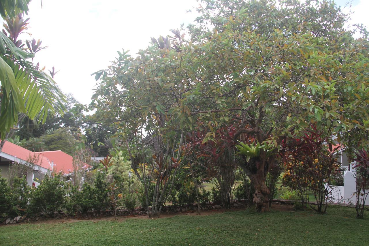 Daniella'S Bungalows Bel Ombre Buitenkant foto